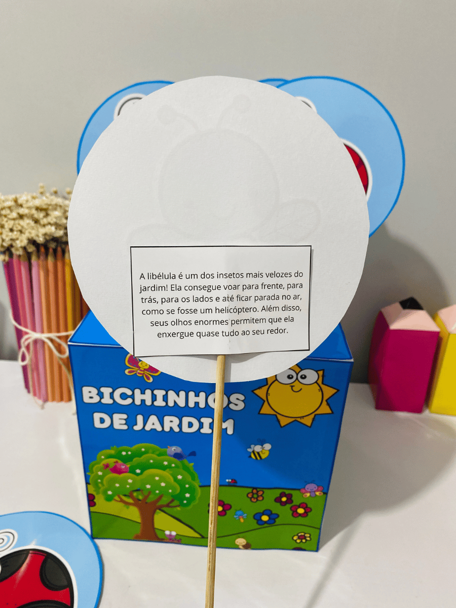 Caixinha Bichinhos de Jardim - Imagem 4