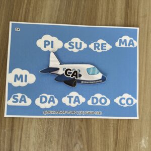 AVIÃO DA LEITURA
