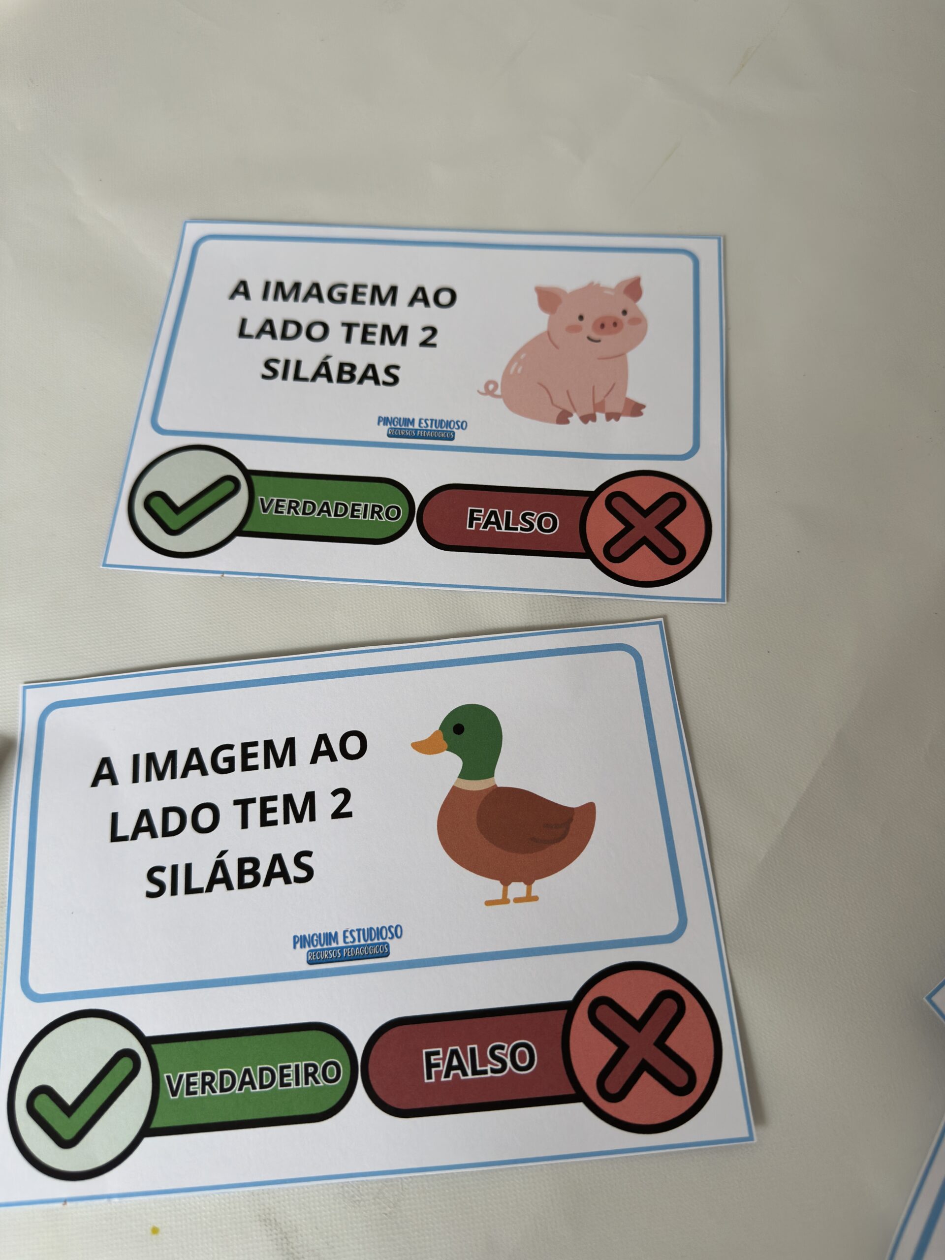 VERDADEIRO OU FALSO